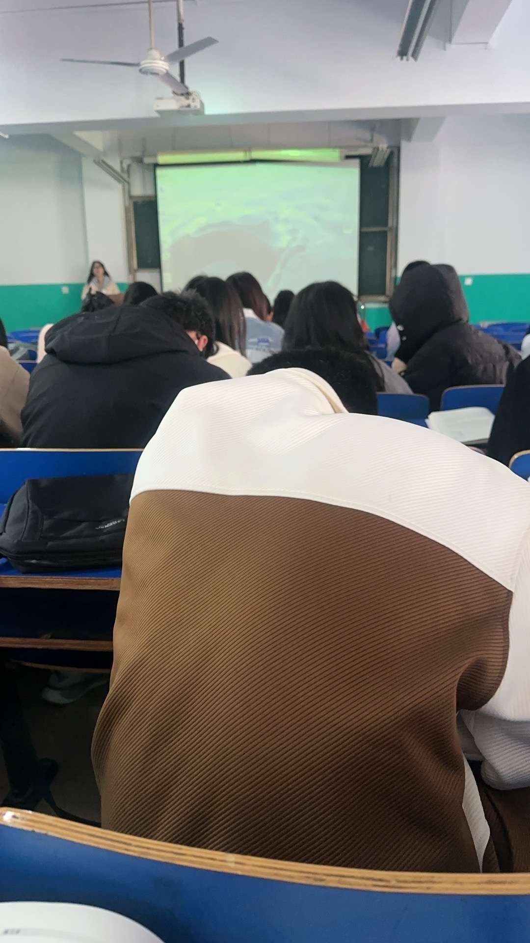 当代大学生上课现状图片