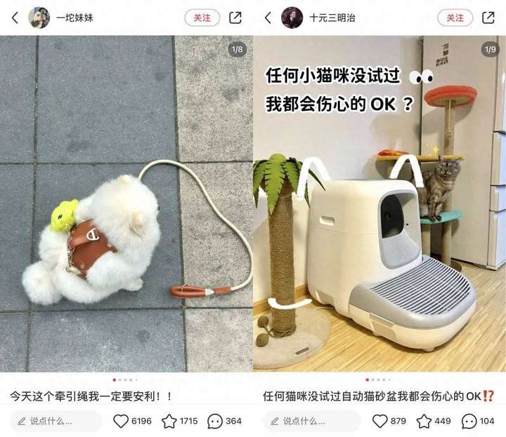 小红书种草怎么操作？小红书种草多少钱一篇