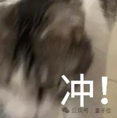 01年实习生被曝负责字节RL核心算法！系字节LLM攻坚小组成员