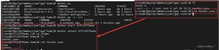 Docker入门教程(非常详细)从零基础入门到精通,看完这一篇就够了插图24 Docker入门教程(非常详细)从零基础入门到精通,看完这一篇就够了插图24