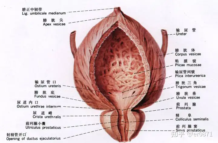 秒予仓至资尊榜？(图1)