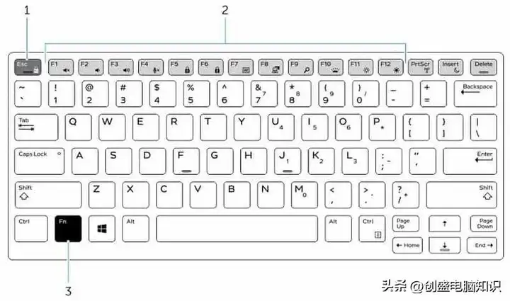 笔记本电脑数字键打不出数字（电脑数字键不能用的恢复方法）