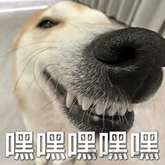 长得这么“乖”的人形机器人，第一次见