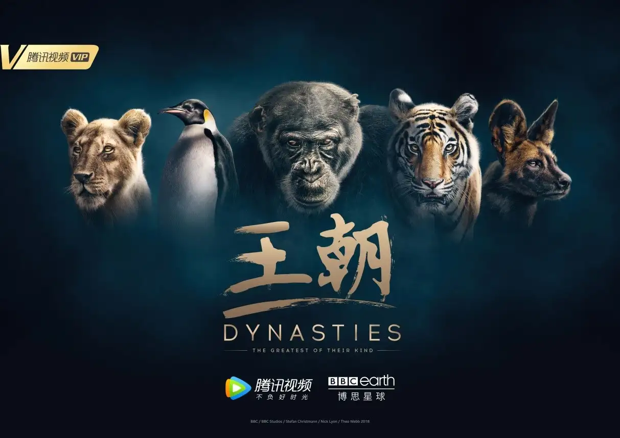 如何评价BBC 与腾讯视频合作推出的自然类纪录片《王朝》（DYNASTIES