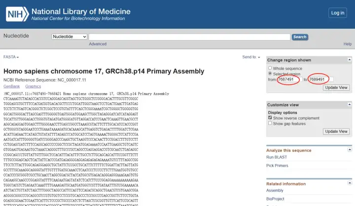 《NCBI保姆级使用教程（包含如何查找CDS、启动子、5'UTR和3'UTR、lncRNA序列）》