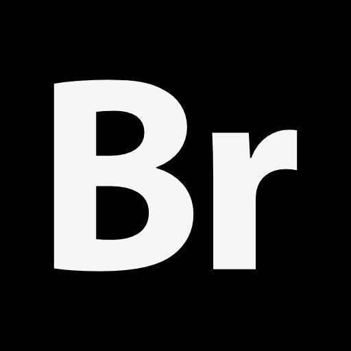 Adobe Bridge BR v14.0.0 解锁版-榆念资源网