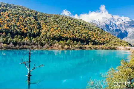 去云南旅游大概需要多少钱？