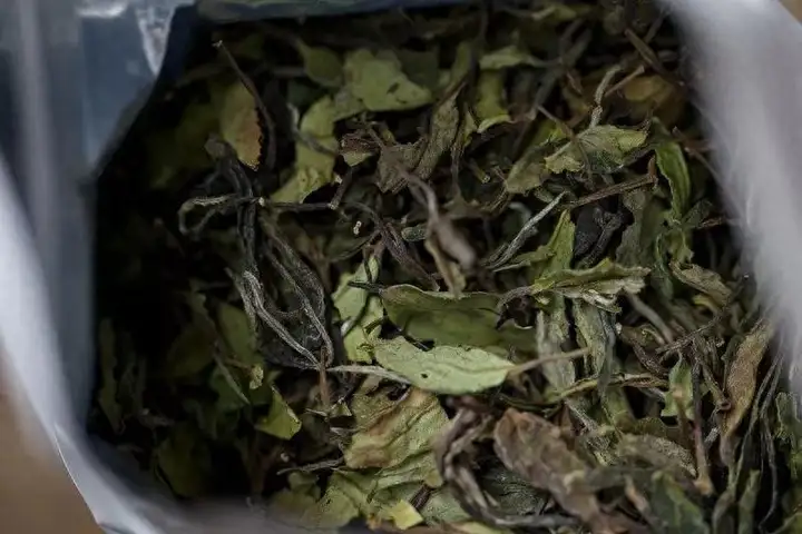 白茶属于什么茶？白茶的品种特点介绍