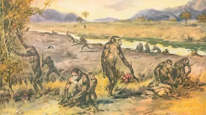 人类的祖先是谁（3分钟读懂人类的进化史）