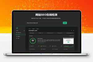 高级SEO在线探测源码，精心优化最新版