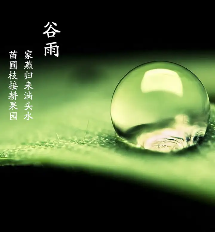 24节气对应吃什么食物？