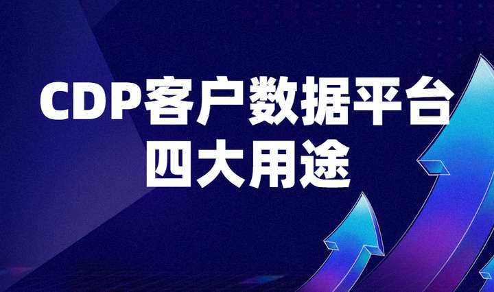 汇集全域数据、还原用户画像、洞察生命周期，CDP如何帮助企业持续获客增长？