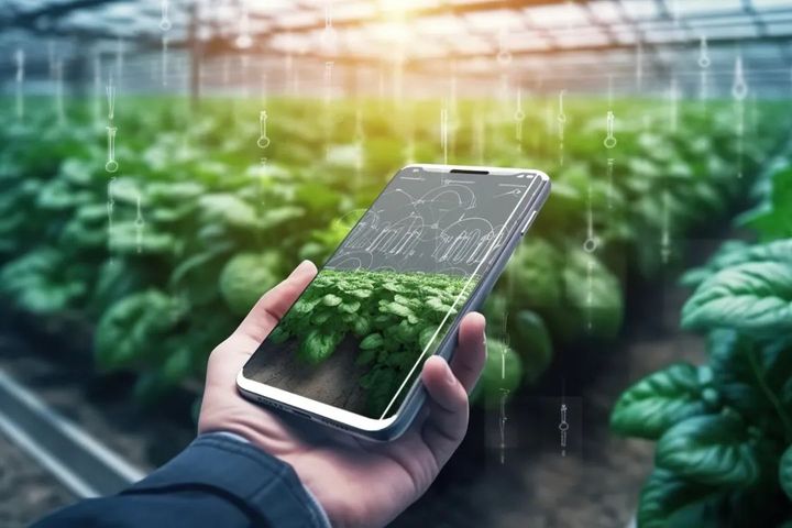 中国电信5G助力宁夏打造智慧农业基地