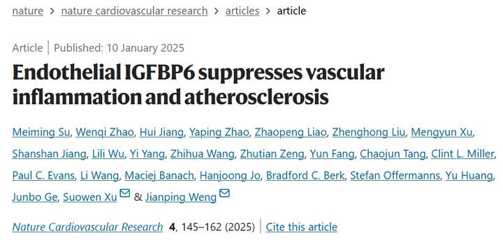 内皮胰岛素样生长因子结合蛋白6(IGFBP6)抑制血管炎症和动脉粥样硬化 内皮胰岛素样生长因子结合蛋白6(IGFBP6)抑制血管炎症和动脉粥样硬化