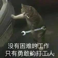 一份假简历领5份硅谷AI工资，印度老哥真是不得了