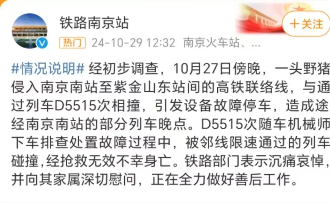 南京南站发生野猪侵线，机械师排查时被邻线列车碰撞不幸身亡，反映出哪些问题？怎样避免此类事件再次发生？