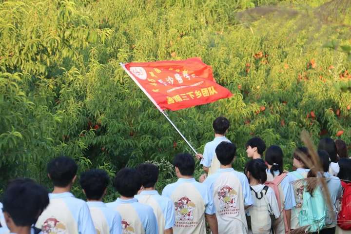 科技赋能兴乡村，数字助力惠民生——长沙医学院“医者队”三下乡科技助农实践纪实