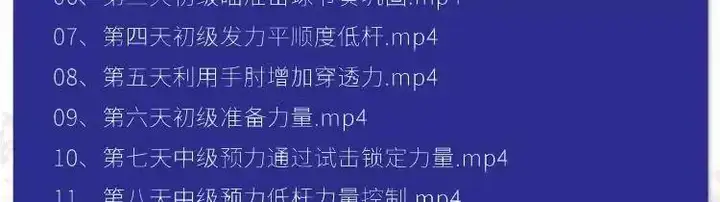 图片[5]-羽毛球篮球台球乒乓球全套高清视频教程-打羽毛球乒乓球篮球网球台球视频教程新手入门零基础动作训练课程【电商热销688】-暗冰资源网