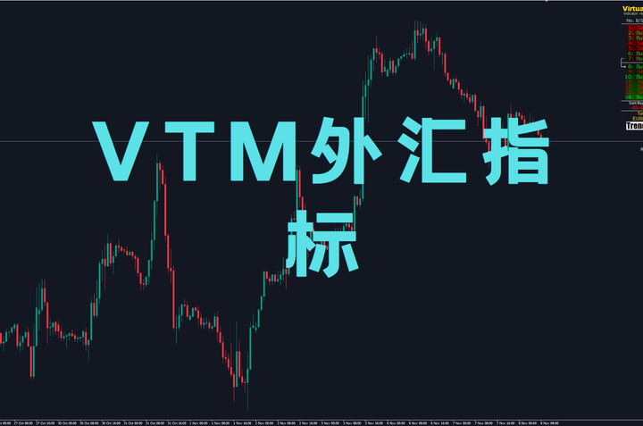 VTM外汇指标