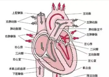 什券嬉蔚死赊胜霜苏？(图1)