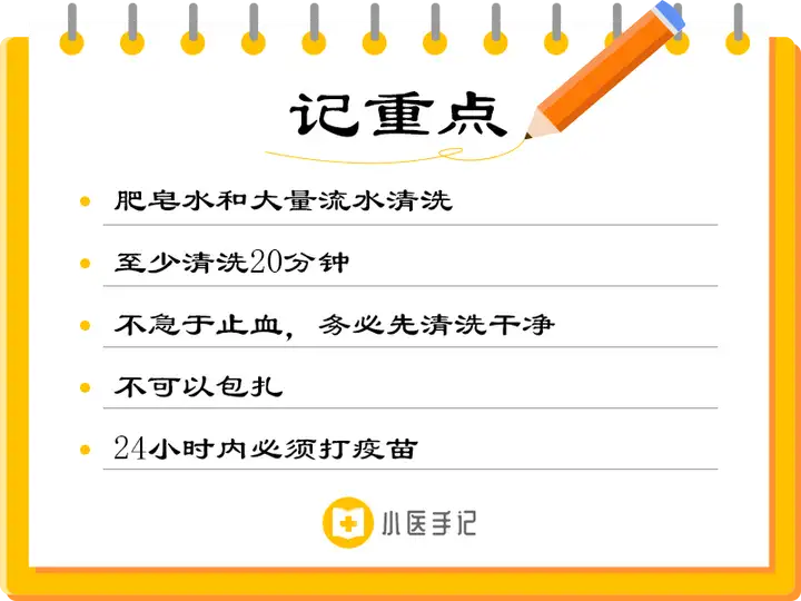 被狗咬了之后要做怎样的紧急处理? - 知乎