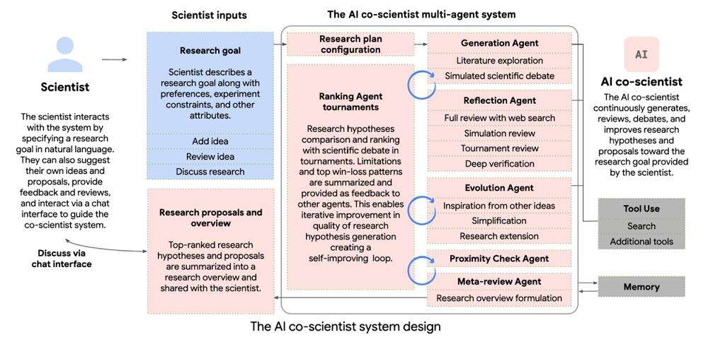 10年科学谜团，被谷歌“AI科学家”2天解决了