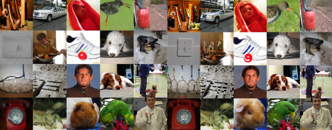 ICML 2025 Spotlight | 清华朱军组&NVIDIA提出DDO：扩散/自回归模型训练新范式，刷新图像生成SOTA