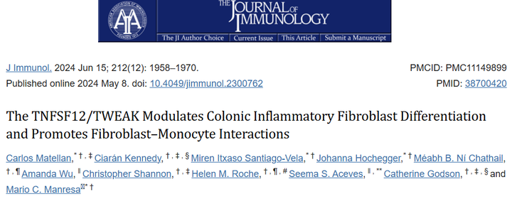 TNFSF12/TWEAK 調(diào)節(jié)結(jié)腸炎性成纖維細(xì)胞分化并促進(jìn)成纖維細(xì)胞-單核細(xì)胞相互作用
