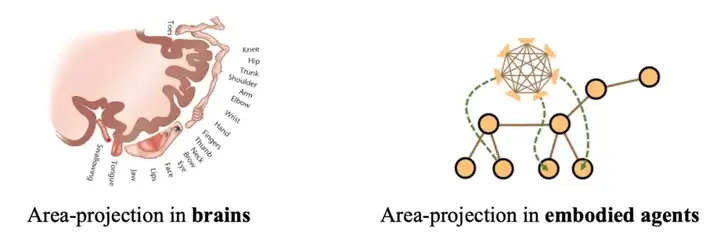 ICLR 2025 Spotlight｜让机器人实现「自主进化」，蚂蚁数科、清华提出具身协同框架 BodyGen
