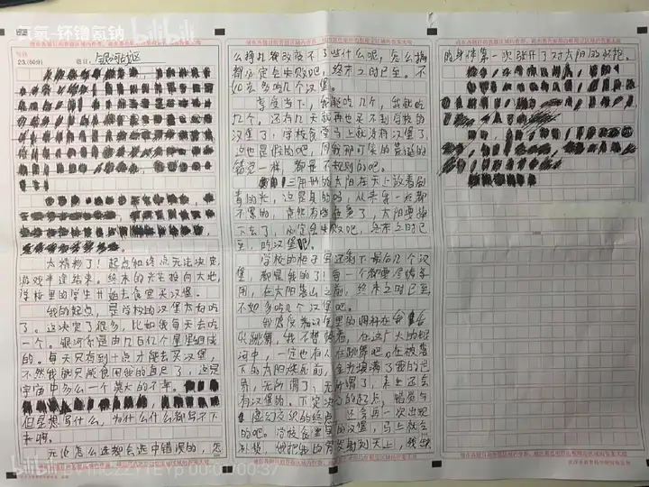 你们见过考0分的作文吗?为什么会考0分作文? - 知乎