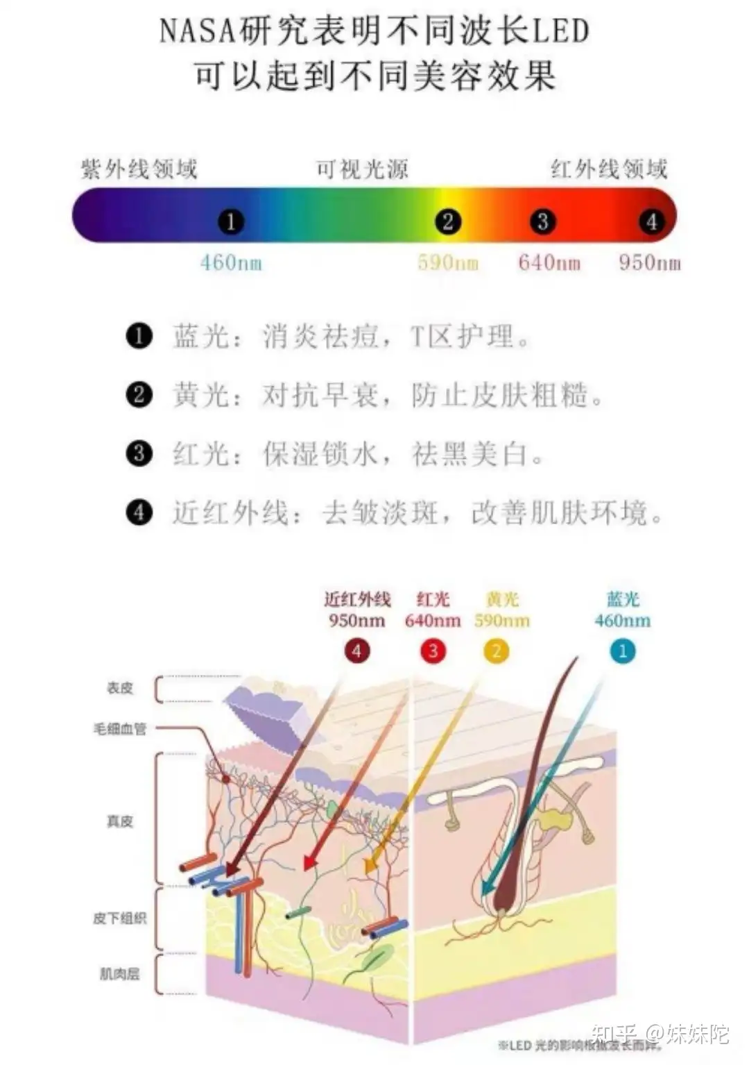 初回特典付 ４個セット EX 真宝EX 真宝 4個 - www.geopark-thailand.org