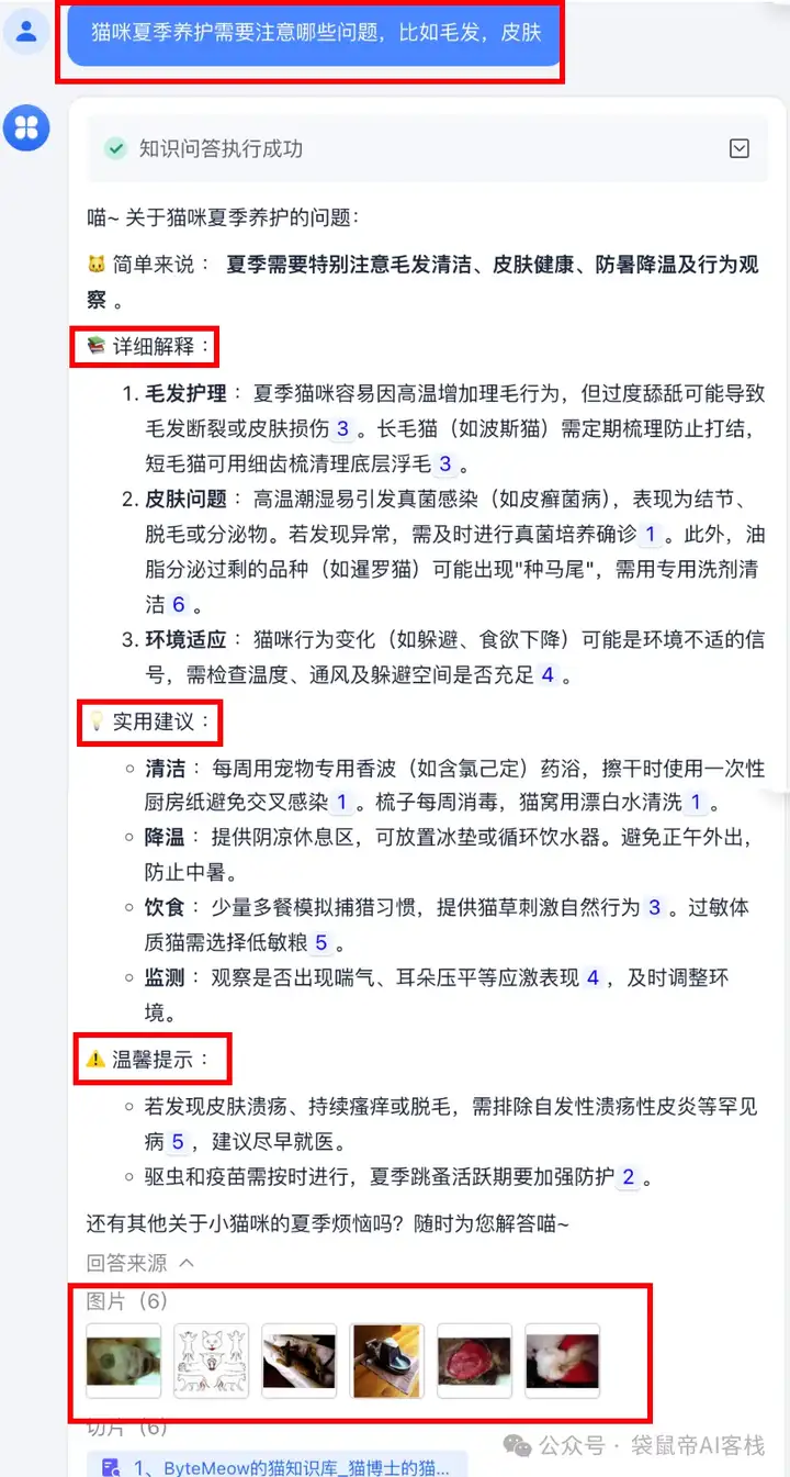 RAG天花板！从0到1打造商用Agent【喂了1G资料】