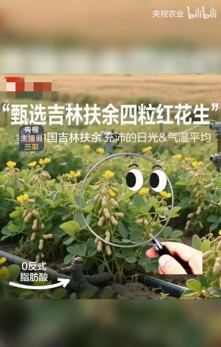 花生上树了？AI 竟然敢这么玩
