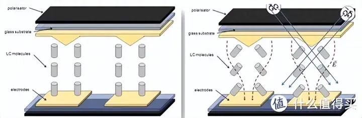 电脑显示器什么牌子好（2023年显示器选购指南）