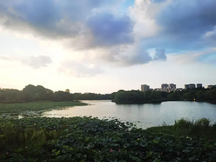 合肥是个宜居城市吗?