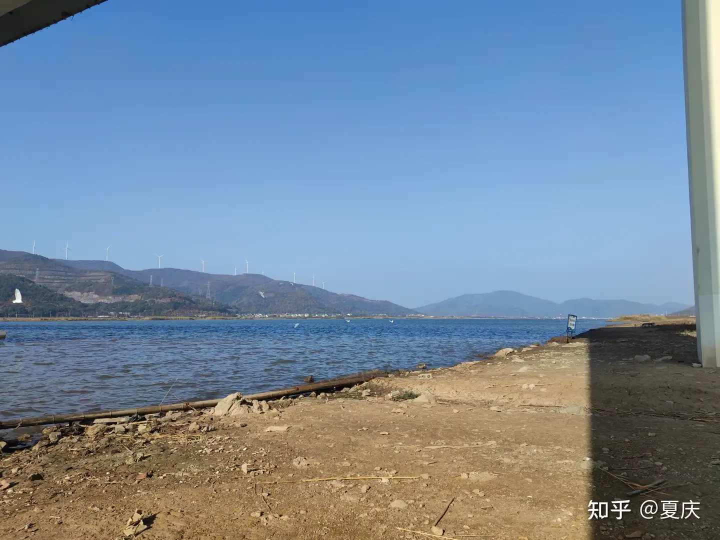 高校青椒，非嫡系，单干还是进团队？