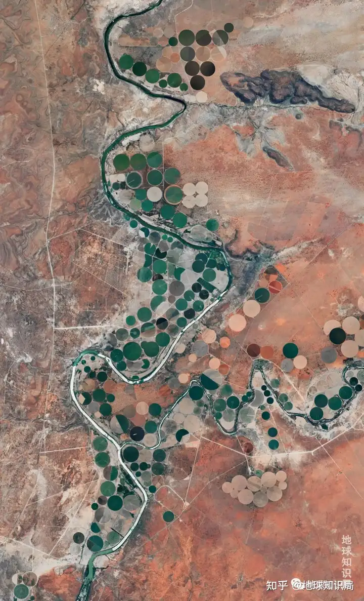 非洲真的缺粮食吗?