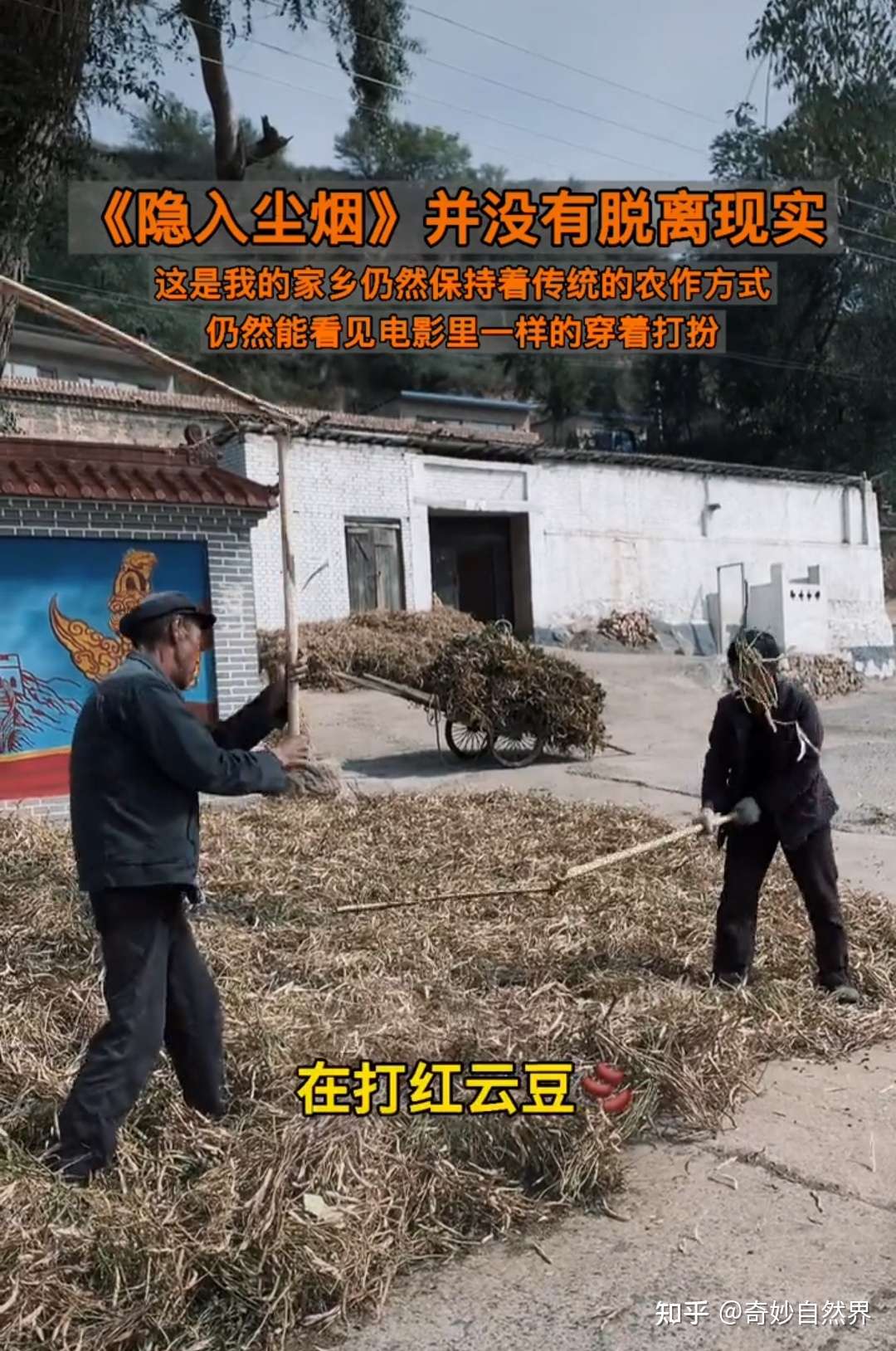 恶之花绽放的土地 - 收藏夹 - 知乎