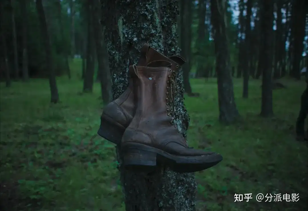 《火车梦》口碑爆了！它凭什么横扫年度十佳榜单？