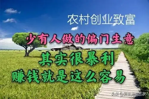 捞偏门的赚钱门路有哪些（偏门生意项目大全）