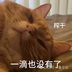 小扎自曝挖人秘诀，豪掷数百亿建全球首个 1GW+ 能耗超级计算机集群