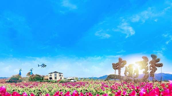 黄花梨树适合哪里种植