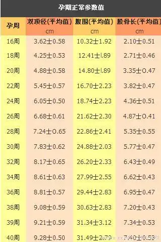 28周的胎儿一般双顶径多少 知乎