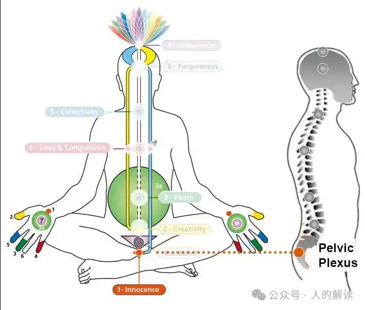 男女流失性能量的方式大不同-人的解读