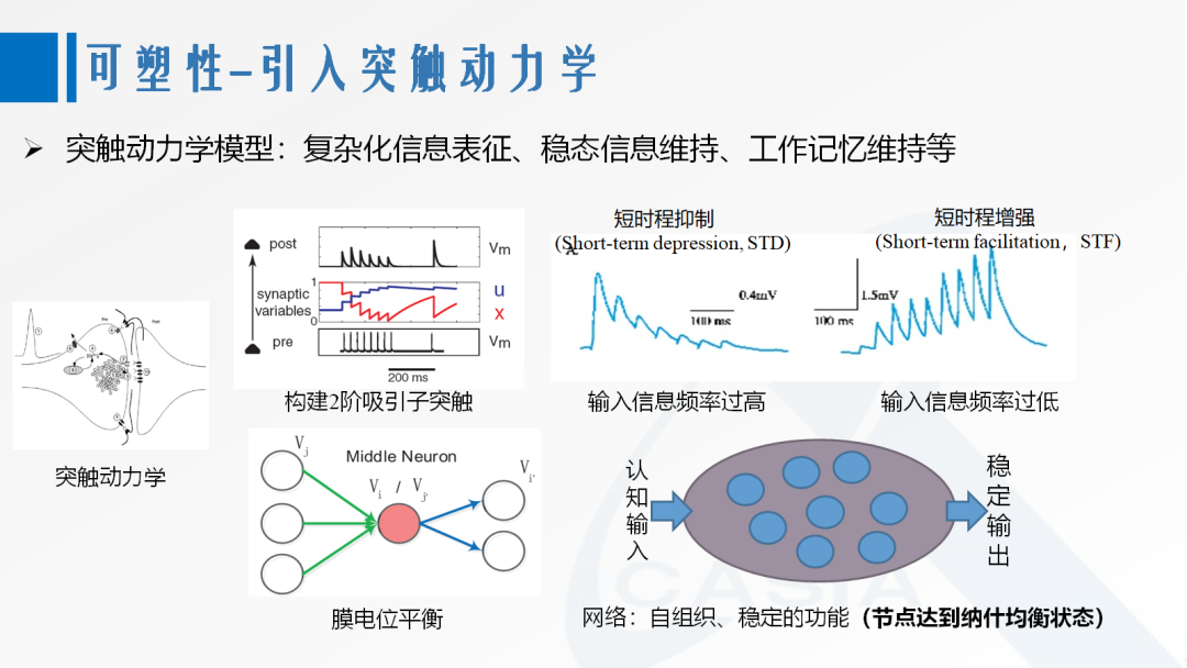 第三代神经网络模型：面向AI应用的脉冲神经网络