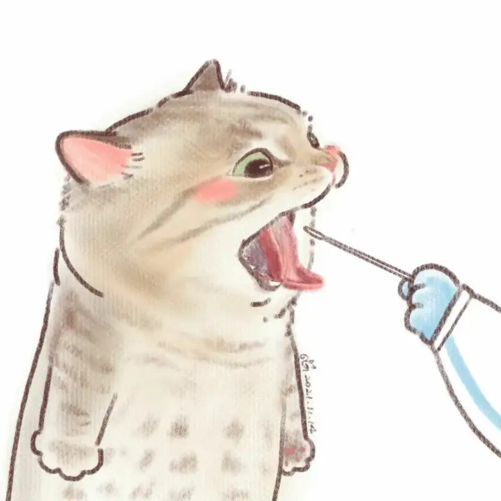 有没有超棒的微信头像？