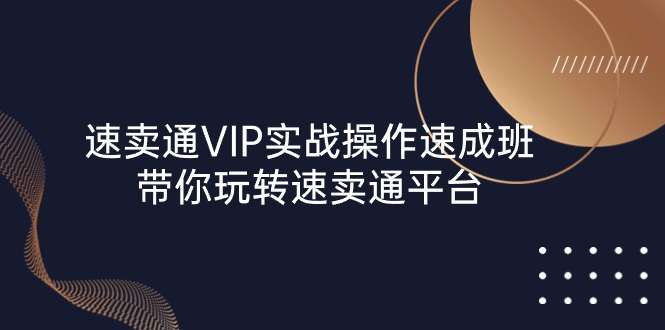 [电商] 速卖通 VIP实战操作课程-带你玩转速卖通平台（23节）风筝自习室-课程资源-网盘资源风筝自习室