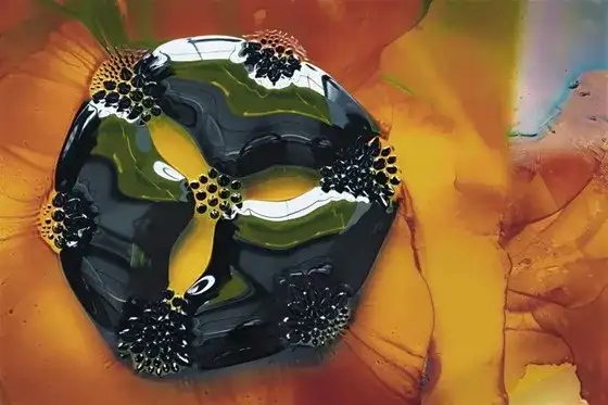 Nature：光影真相vs算法幻象，AI时代的科学摄影
