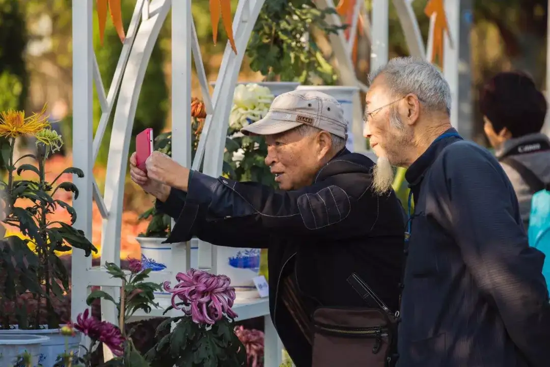 退休后旅游有意义吗?