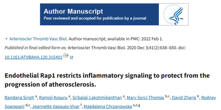 內皮細胞中的 Rap1 可限制炎癥信號傳導,從而抑制動脈粥樣硬化的進展 內皮細胞中的 Rap1 可限制炎癥信號傳導,從而抑制動脈粥樣硬化的進展
